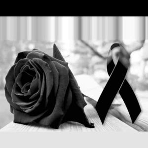 Meet your Posher, Iris